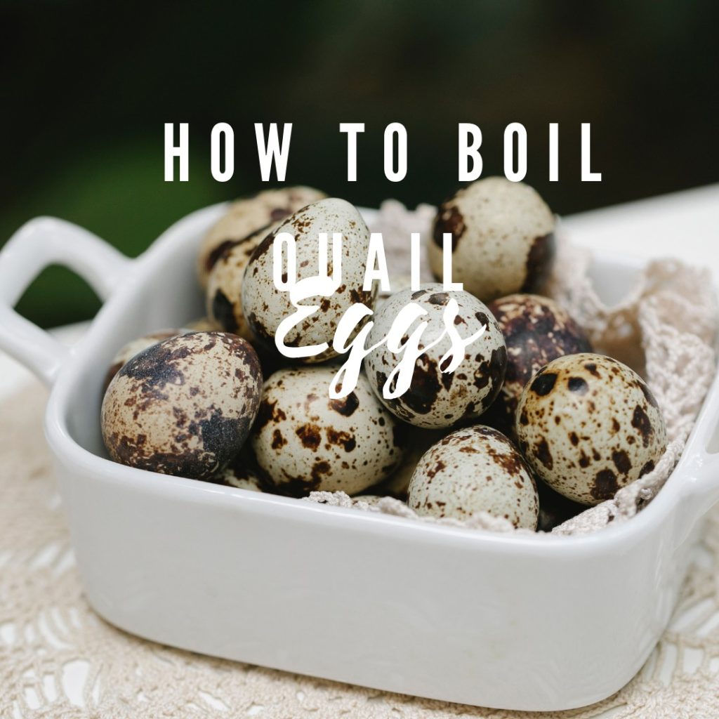 How to boil quail eggs HeAll