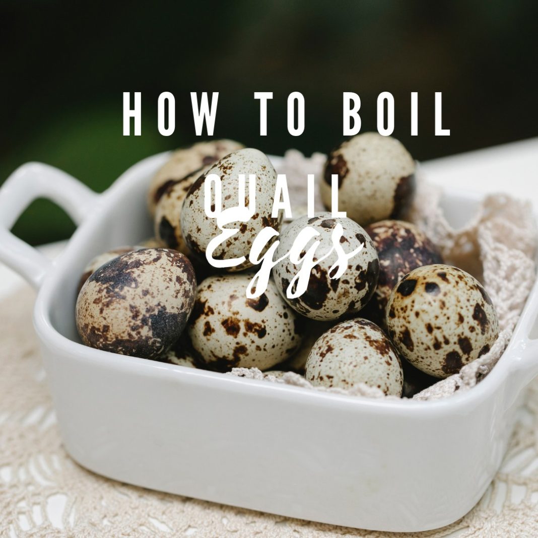 How to boil quail eggs HeAll